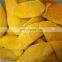 Sinocharm Frozen fruits 2021 BRC-A approved IQF Frozen mango Chunk 10*10 mango chunk