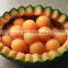 High Quality IQF Frozen Cantaloupe Balls