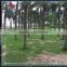 Hot selling rc drone quadcopter fpv with low price