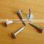 galvanized coated broad head nails