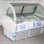 plastic ice cream display importer freezer gelato mini