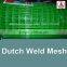 china factory cheap price rubber coated welded wire mesh