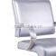 silver styling chair with sharp looking DY-2175F3                        
                                                Quality Choice