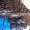 Vietnam split cassia/ split cinnamon - high quality, good price