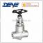 SS304 or SS316 Forged Flanged Gate Valve