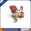 automobile engine system gas charging valve