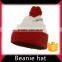 Custom winter beanie cap