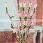 Wholesale Dried Tulip Handmade Dried Rose Plant Natural Plant Dry Flower Decoration
