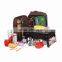 Fashion Outdoor BBQ Bag