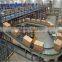 Automatic stainless steel gravity roller conveyor