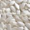 Supply Roasted Salted Snow White Pumpkin Kernels inshell with high quality