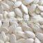 Supply Snow White Pumpkin Seeds with Good Quality