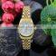 R0340 Best Selling Fashion Luscious Girl Watch, Water Resistant Stailess Steel Back Watch For Ladies