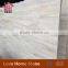 Nature Eurasian tree marble for indoor flooring