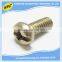 China OEM manufacturer high precison phillips sus metal screw