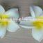 Artificial Hawaiian Plumeria EVA Foam Frangipani Hair Flowers