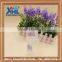 0.35mm High transparent pp box