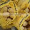 fresh yellow potato from new crop ( china origin)