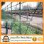 Wholesale factory Price Barbed Wire