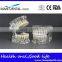 Dental Standard Transparent Dentition Model DEA-46