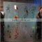 Decorative Interior Door/showroom Door/bathroom Door Glass