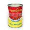 Hot sale Canned Broad Beans in brine Canned Vegetable high quality
