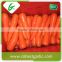 Organic fresh vegetable fresh carrot exporter