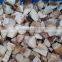CHINA frozen boletus edulis cut