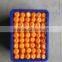 Fresh Mandarin orange/honey mandarin for sale