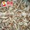 Frozen Shiitake Mushroom IQF Shiitake mushrooms