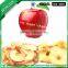 Apple Remove Core Slicing Machine, Pear Core Removing And Slicing Machine