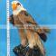 2015 New Hunting Decoy artificial bald eagle decoy