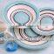 Hot porcelain dinner set