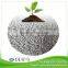 factory dap fertilizer 18 46 0 prices