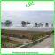 agricultural used greenhouse manufacturer