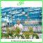 High-tech Greenhouses and Hydroponic Systems for Professional Growers