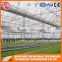 China supplier multi-span plastic film agricultural greenhouse for sale