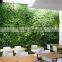 indoor green wall succulent plant or leafy plant combination with the soft foam backing