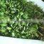 Home and outdoor decoration synthetic cheap artificial vertical green grass wall E08 04R25