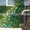 Artificial green wall for gymnasium