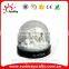 Wholesale custom new mexico acrylic snow globe for sale