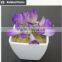 Mini artificial succulent plants in glass bowl potted mini succulents