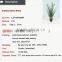Decorative artificial flocking grass onion grass artificial grass in pot for home and office