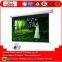 China best price Motorized projector screen/electric projection screen/3D screen