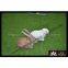 Farway XPE FOAM material durable 3D wild rabbit Archery target