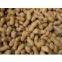 sell peanut in shell