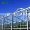 Cheap multi span agricultural glass greenhouse for tomatoes