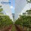 uv protection transparent plastic tarpaulin sheet woven fabric reinforced film