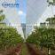 UV protection 200 micron agricultural covering plastic film woven greenhouse film