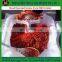 Sesame sauce mill/Bean flour mill
